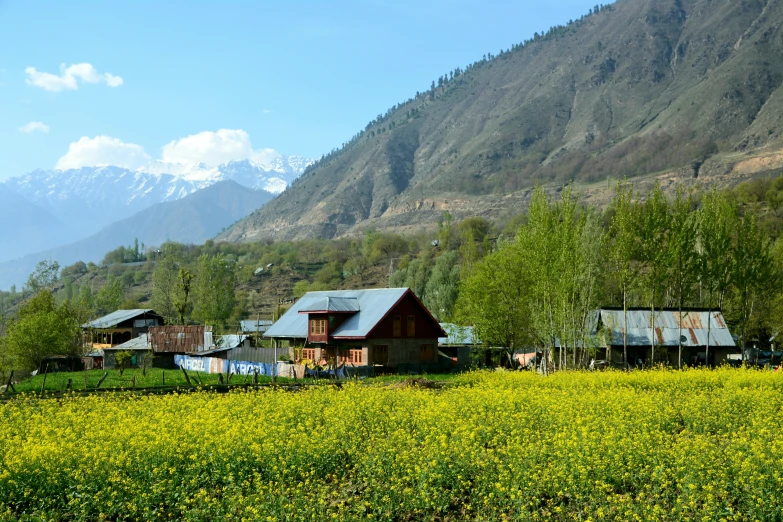 houses in the middle of nowhere in a field