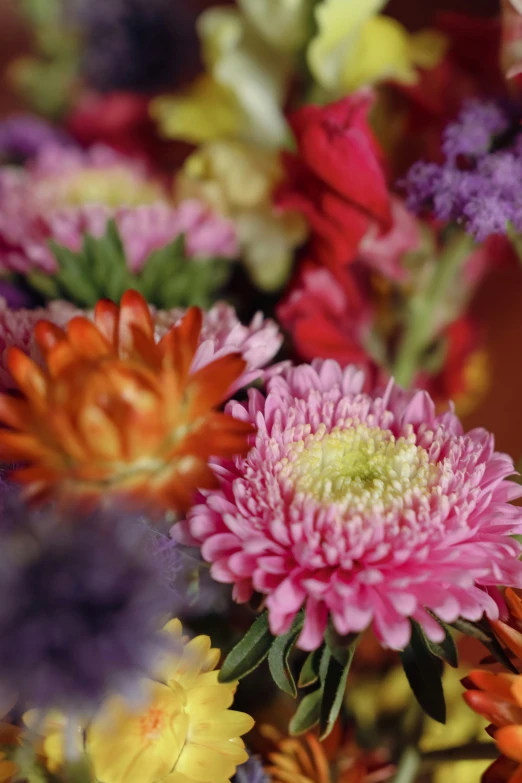 a large group of flowers are sitting together