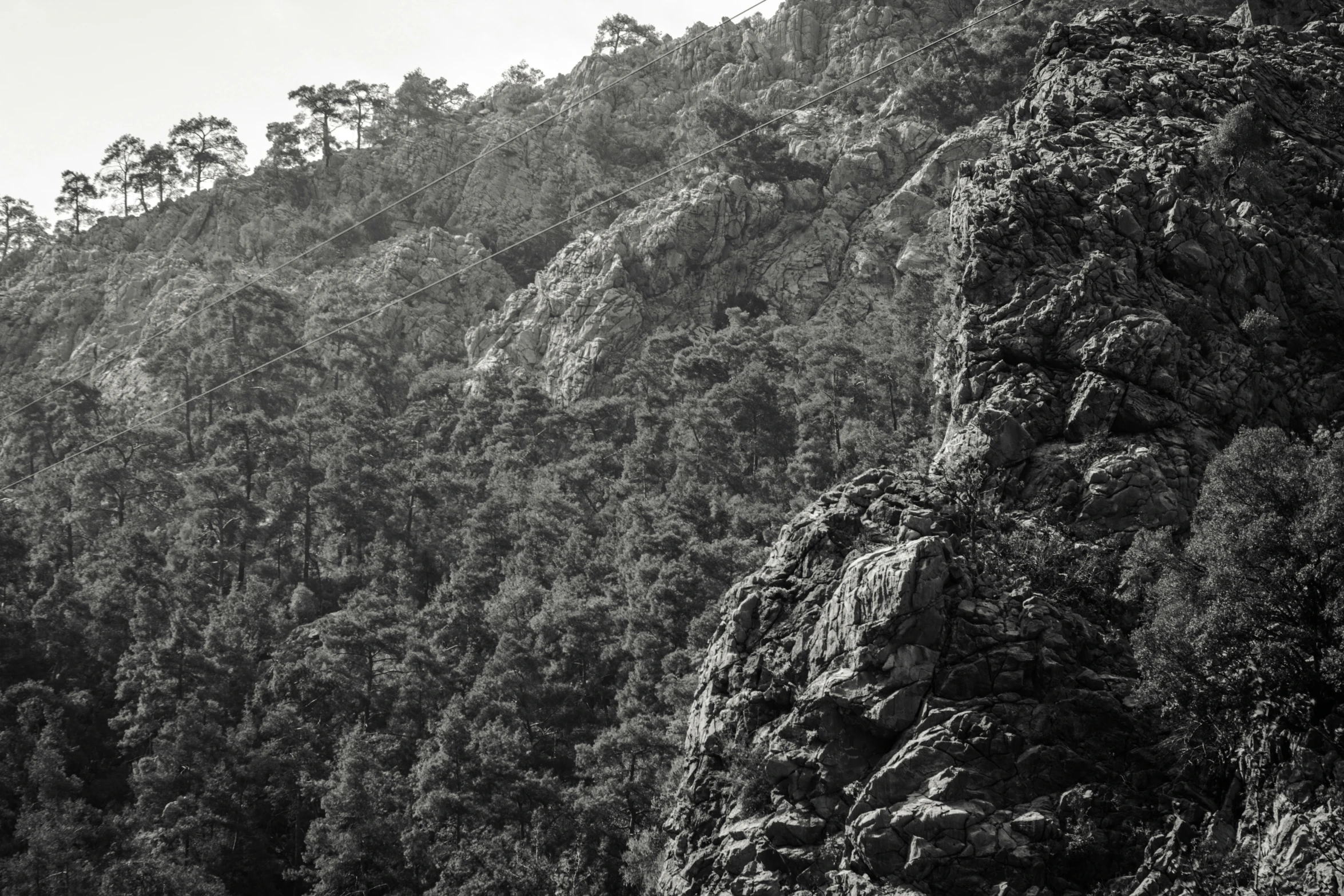 a black and white po of a mountain