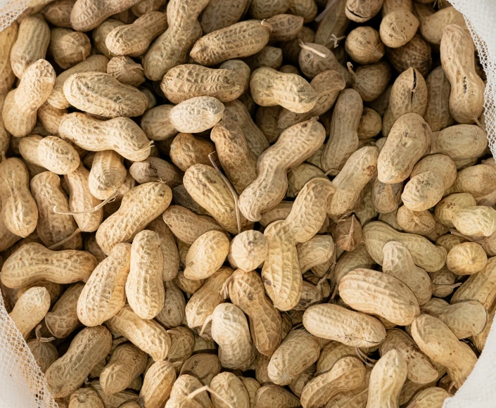 a white plastic bag full of peanuts, peanuts are nuts