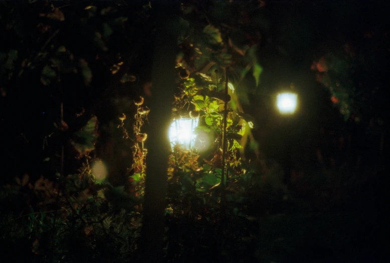 two street lamps glowing on a dark background