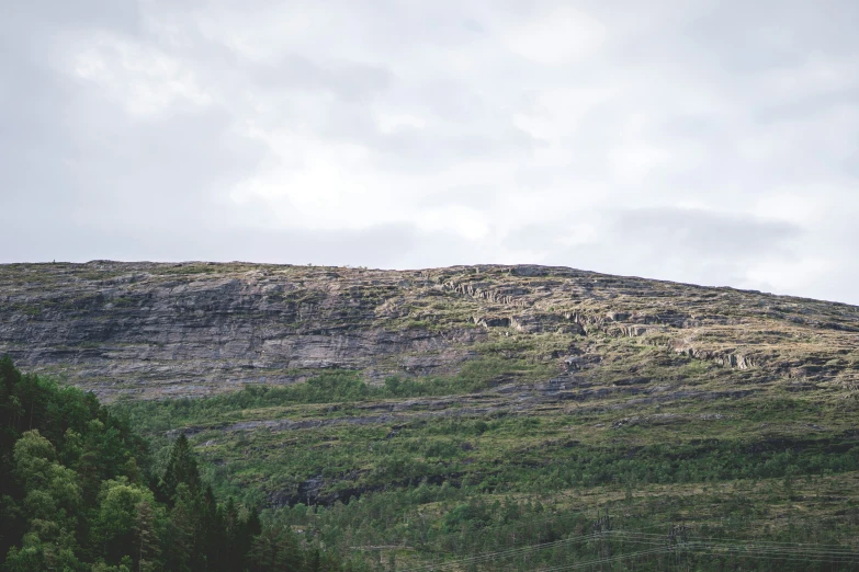 the landscape is grassy and there are several trees