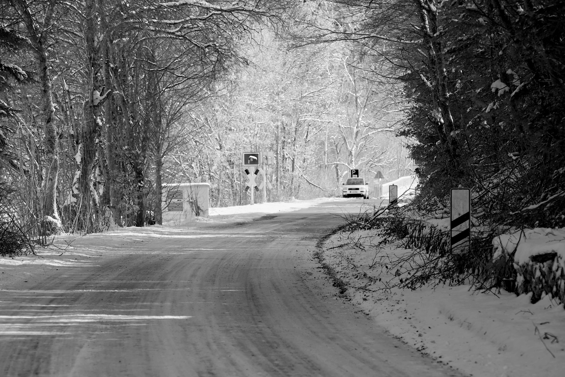 a road through the woods with a gate surrounded by snow