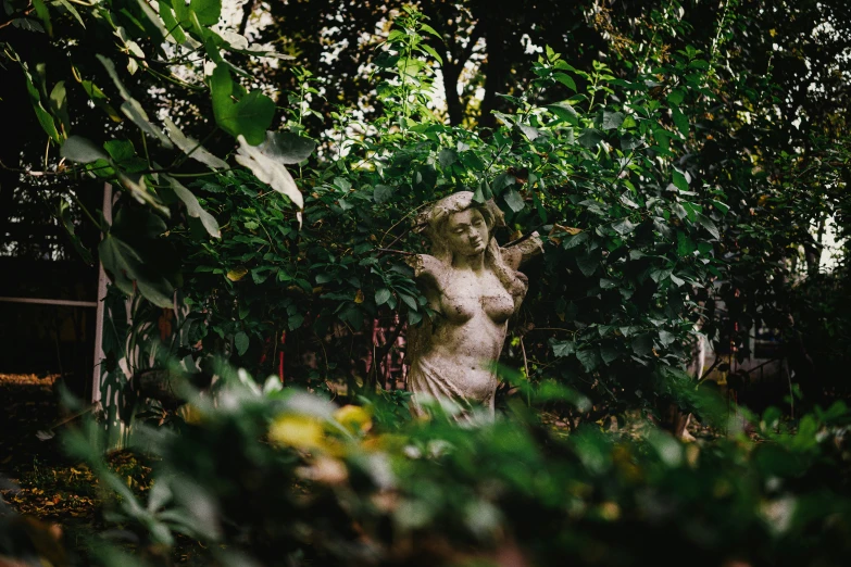 a  statue sitting in some bushes in the sun