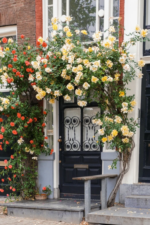 an entrance of a home with flowers around