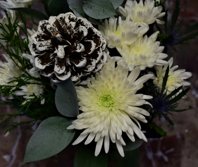 there is a bouquet of white and brown flowers