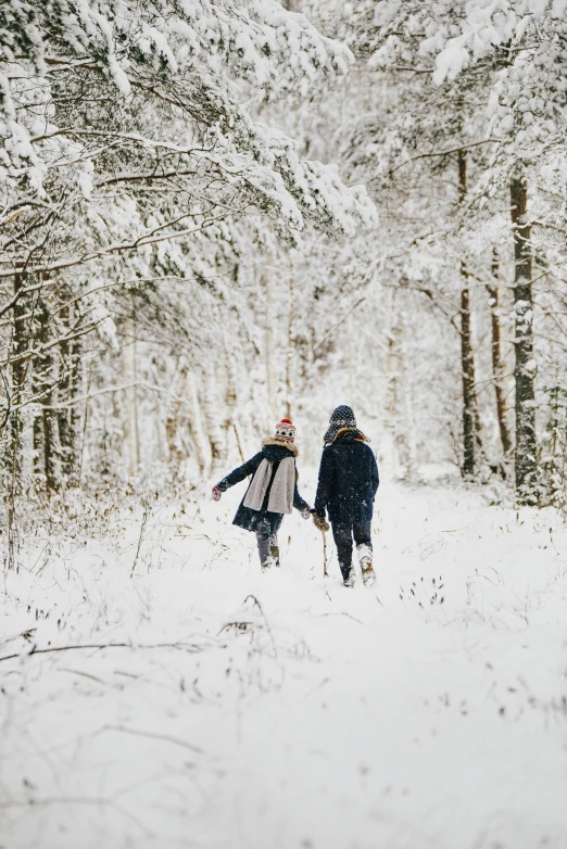 two people cross country ski in a snowy landscape