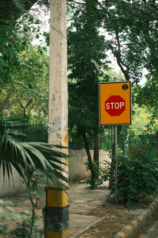 a stop sign near a road on a pole