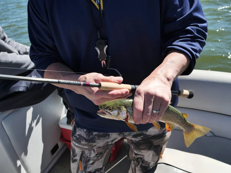 a man is holding fish as he prepares to catch