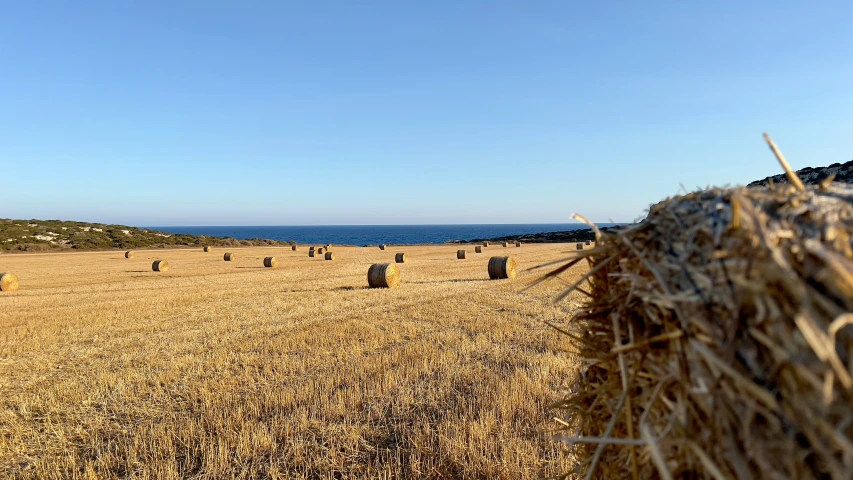 hay bales in an open field with a view of the sea