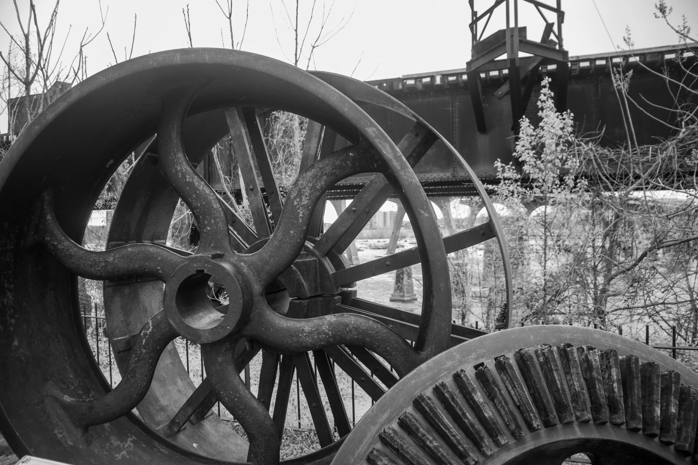 old gear wheels are outside next to trees