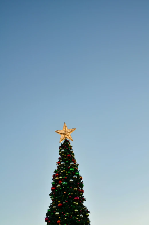 the star is lit up in front of a christmas tree