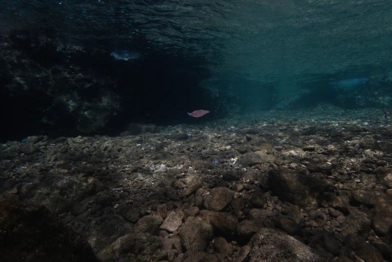 an underwater view of an ocean rock and water