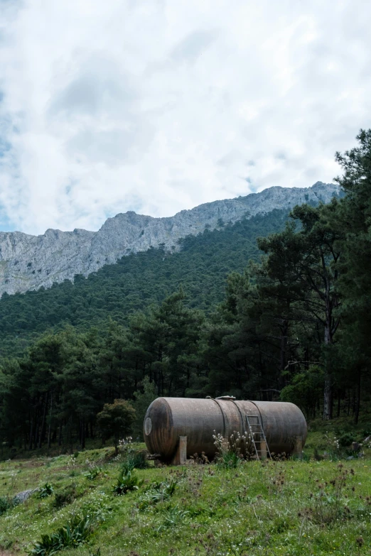 a large tank in a grassy field next to a forest