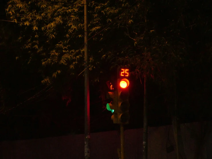 a traffic signal with a lit up green light at night