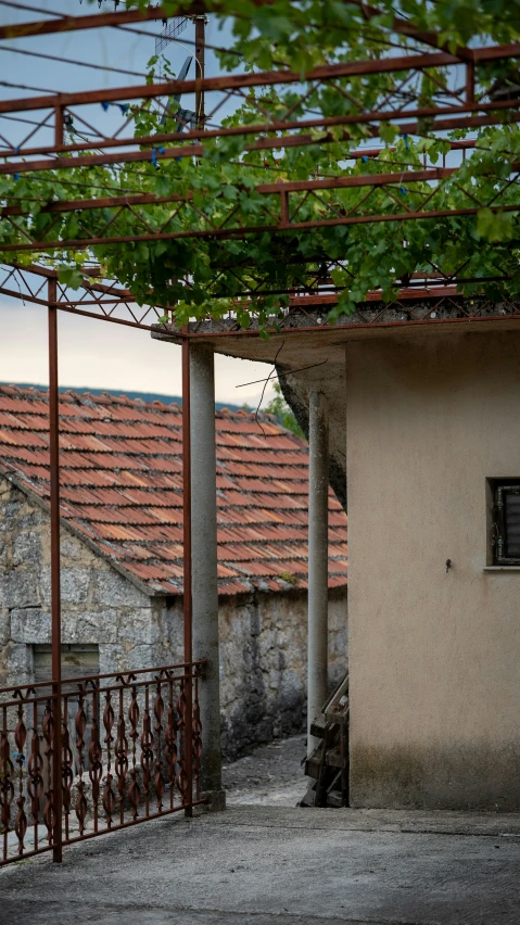 a brick and tile building with vines growing on it