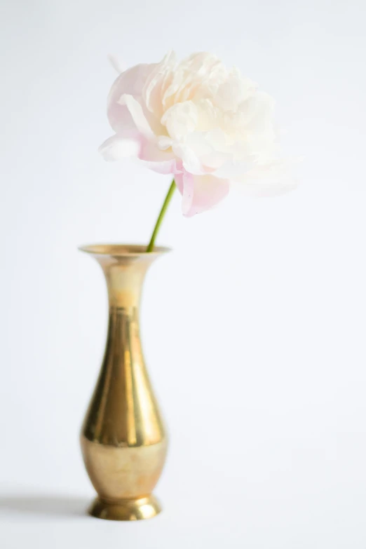 a white flower sticking out from a gold vase