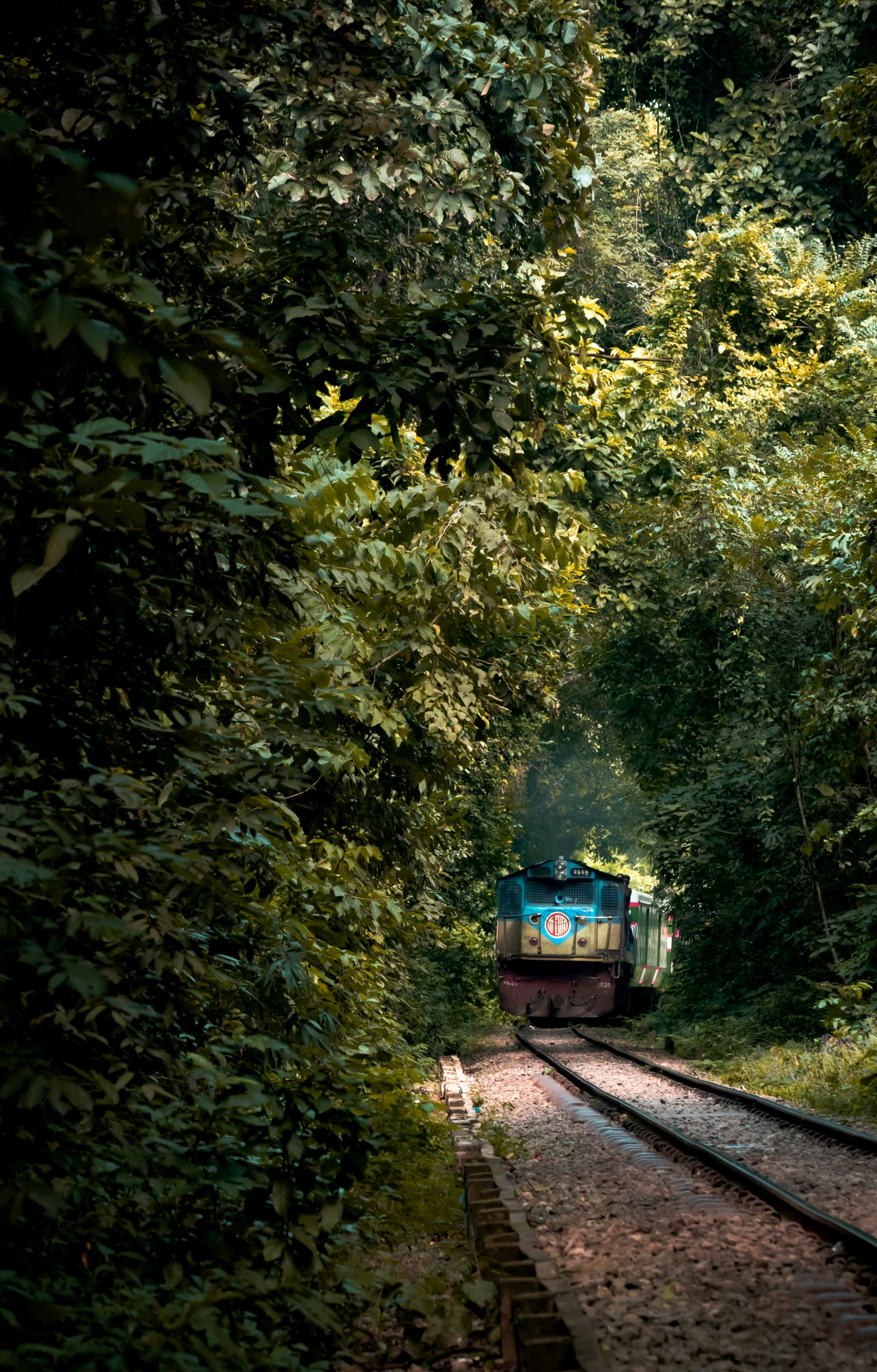 a train that is on the tracks going through a forest