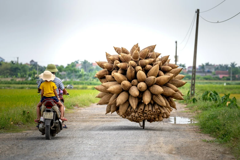 a person sitting on a motor bike holding some very large bananas