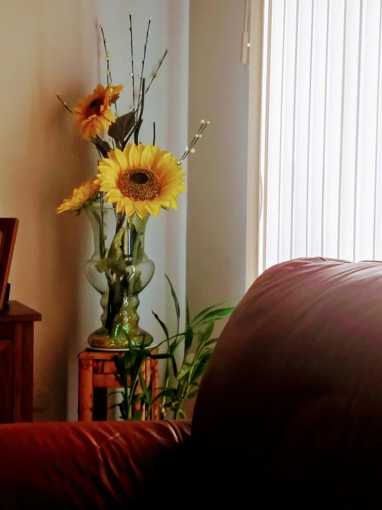 a sunflower in a vase on a table