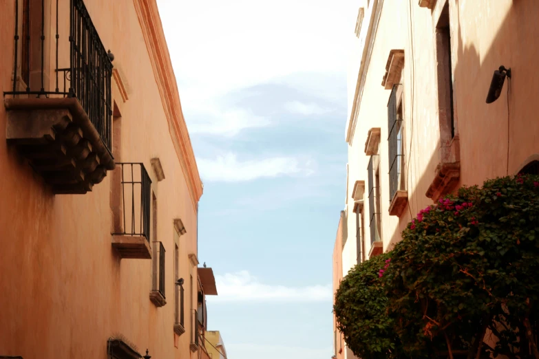 a street lined with buildings and flowers