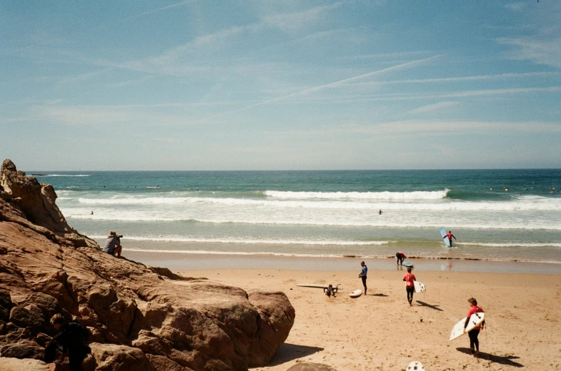 several surfers on the beach with their dogs