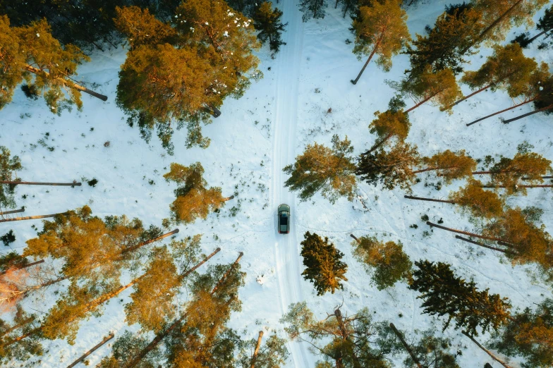 the aerial view shows a jeep in the center of some trees