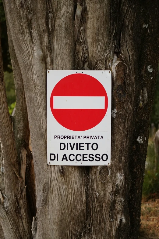 a sign on the side of a tree showing that drivers are not allowed for any vehicles to pass