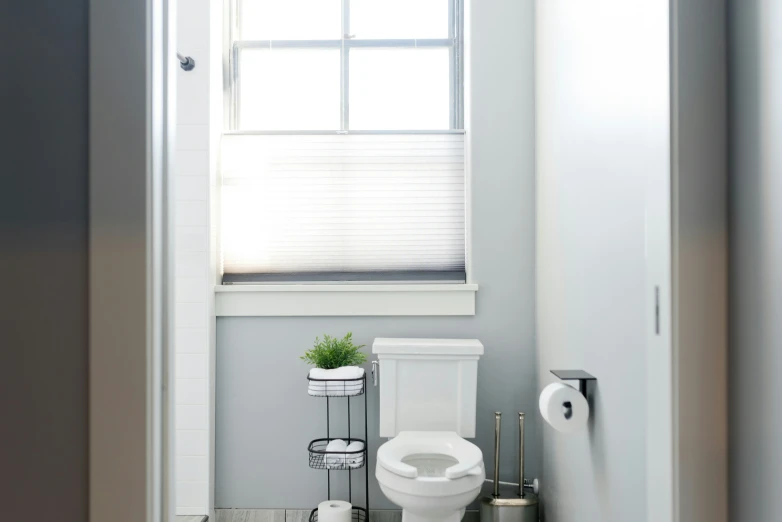 a bathroom with a toilet a sink and window