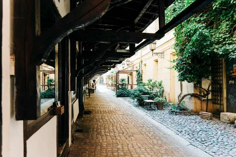 an alley in a small city with a few plants