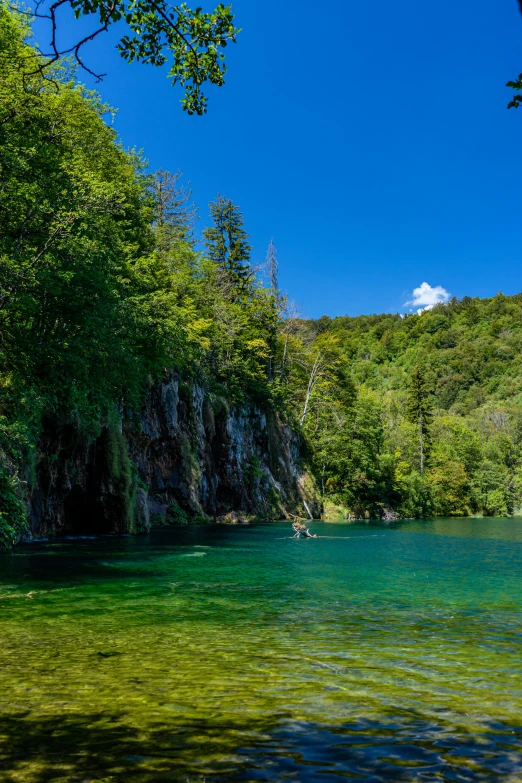 a river flowing between a forested cliff and a forest