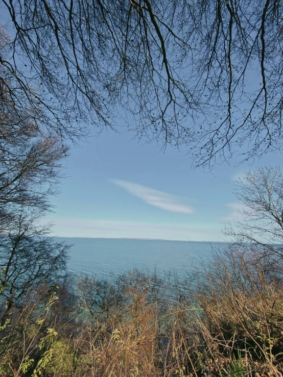 an ocean view from behind a wooded area