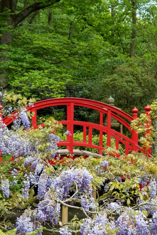there is a red bridge surrounded by purple flowers