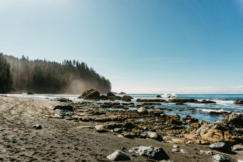 beach on the edge of a hill with trees in the background