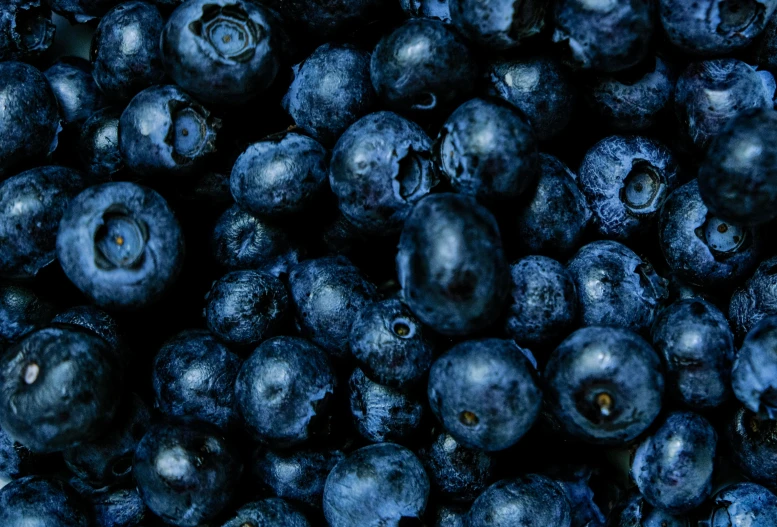 closeup image of blueberries with the black centers and purple tops