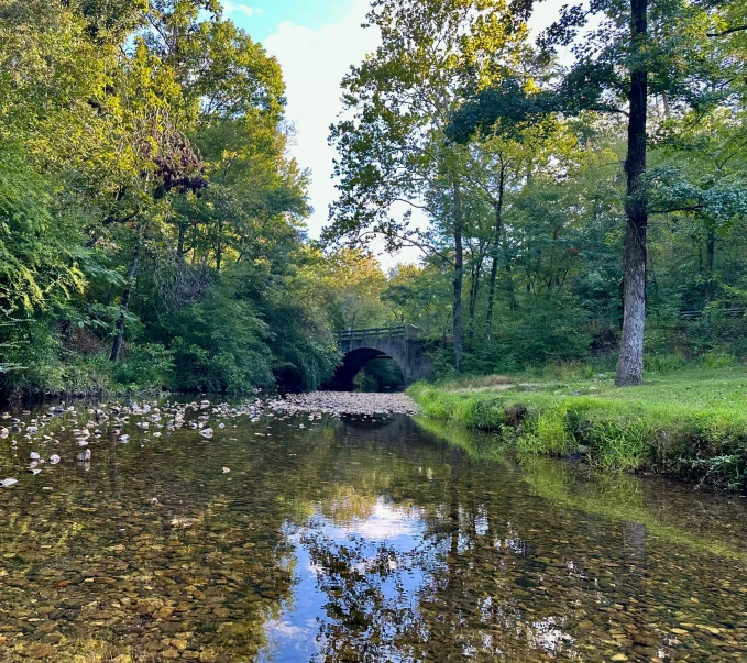 a river that has some birds standing on the shore