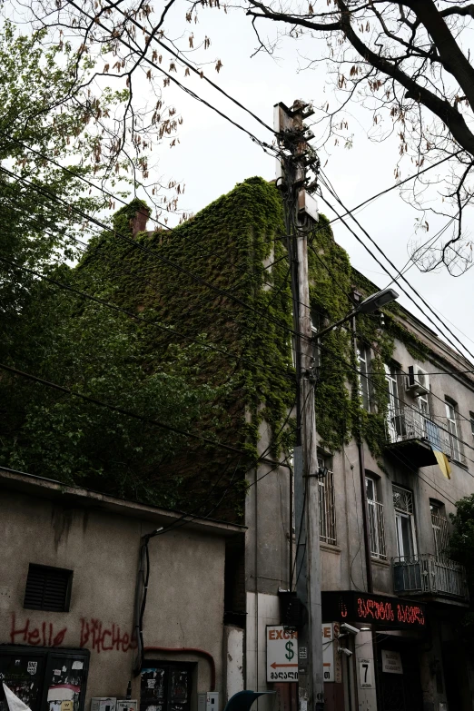 a very tall building covered with green vines