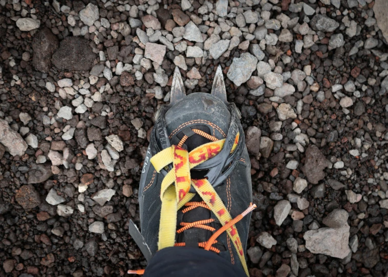 a pair of shoes with a yellow ribbon tied to them