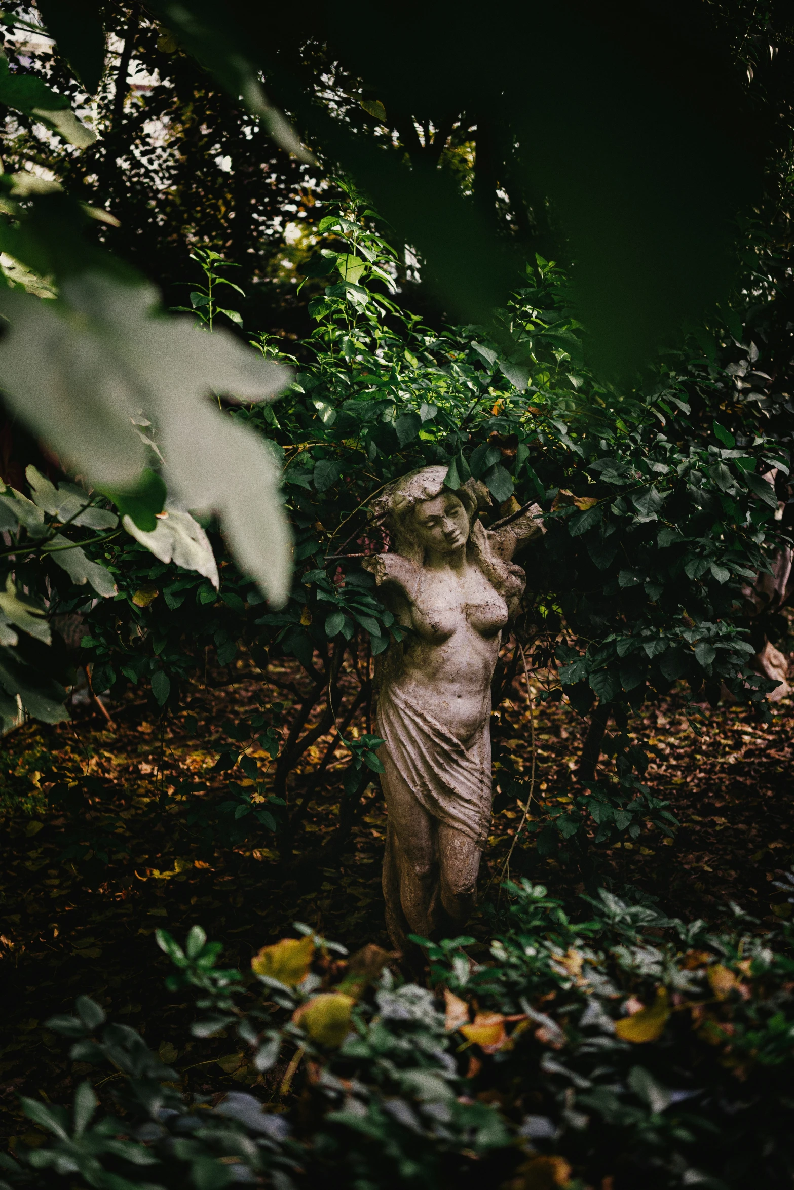 an ancient statue standing in the middle of a lush green forest