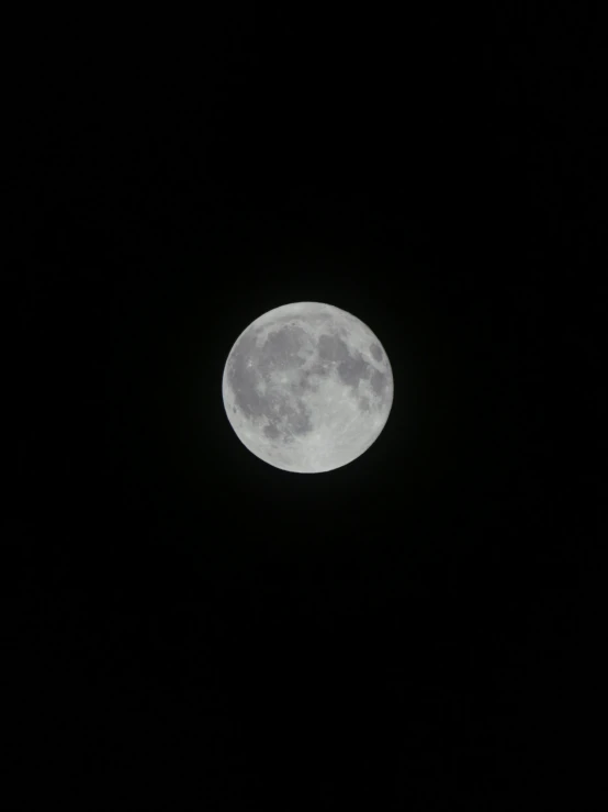 the moon is visible in the dark sky