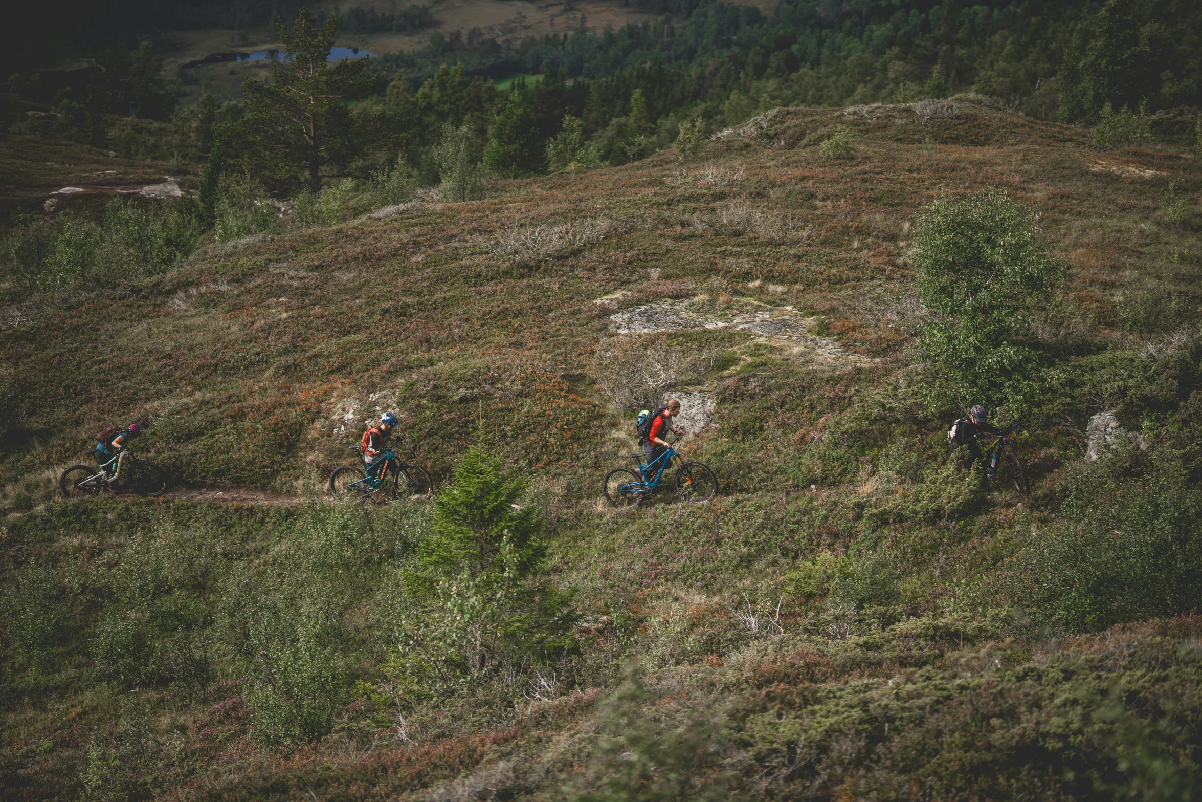 a group of people riding down a dirt trail