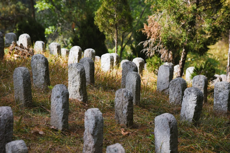 there are many headstones in this graveyard