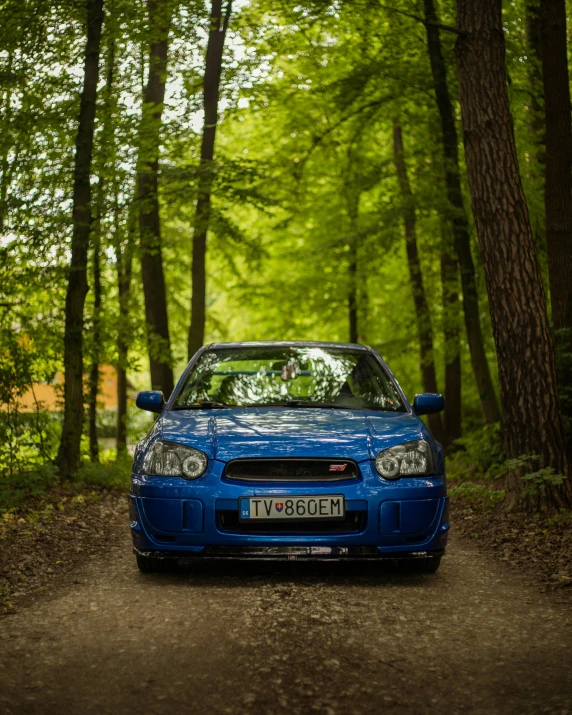 a car driving down a road near a forest