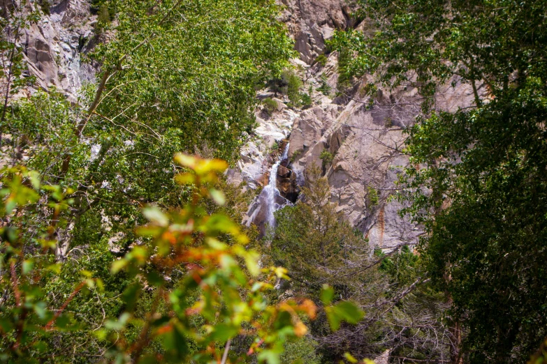 a water fall with a forest around it