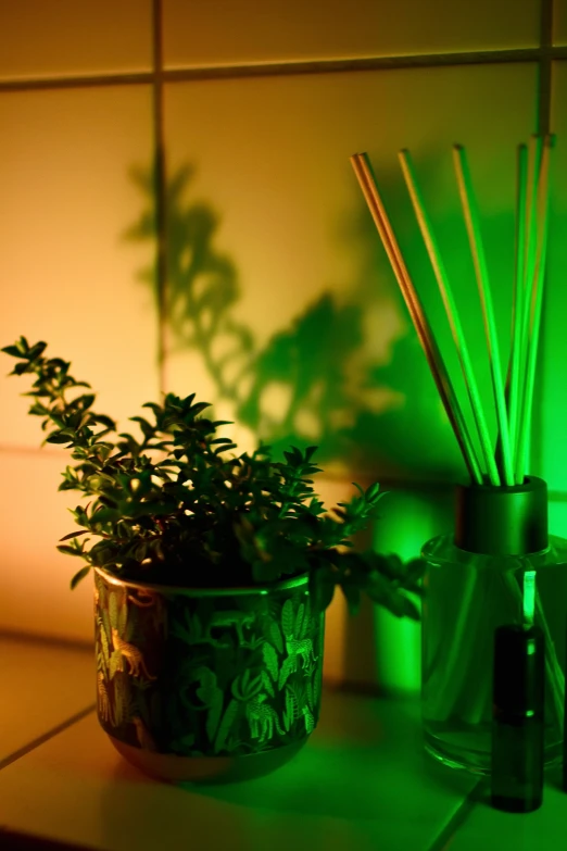 a green glow over a table and some plants in a pot