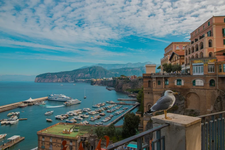 a bird is perched on top of a balcony overlooking boats and buildings