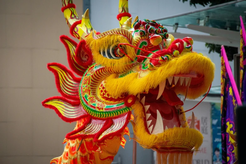 a colorful oriental dragon dance, showing its long yellow feathers and decorations