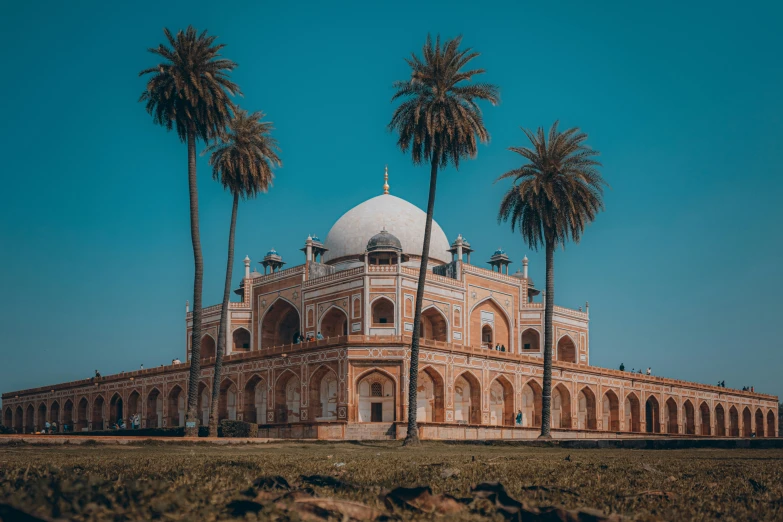 the palm trees grow in front of an old building