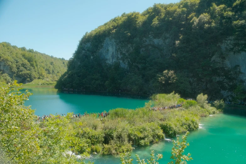 this is an image of some water and trees