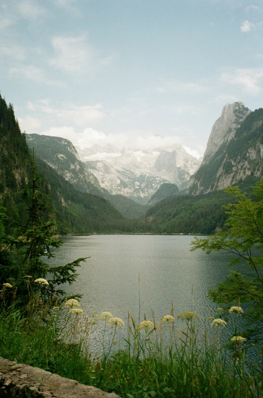 a mountain view shows a still lake surrounded by greenery